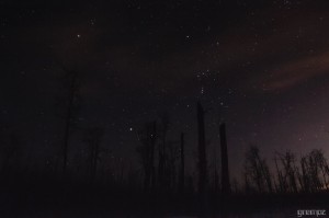 Starry Night at Elk Island